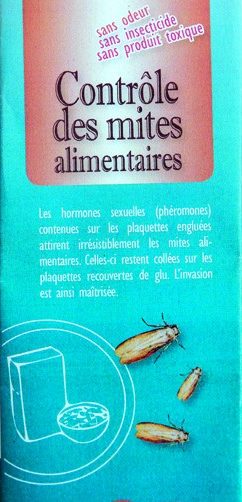contrôle des mites alimenaires