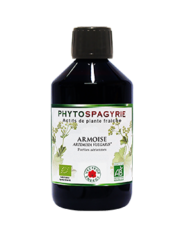 Armoise liquide 300ml