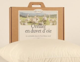 oreiller en duvet d'oie