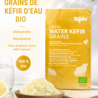 grains de kéfir d’eau bio déshydratés