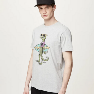 t shirt picture jecko tee gris