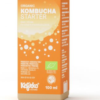 souche de kombucha bio